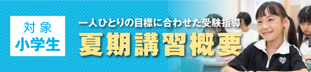 小学生 夏期講習概要